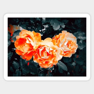 Garden Roses Sticker